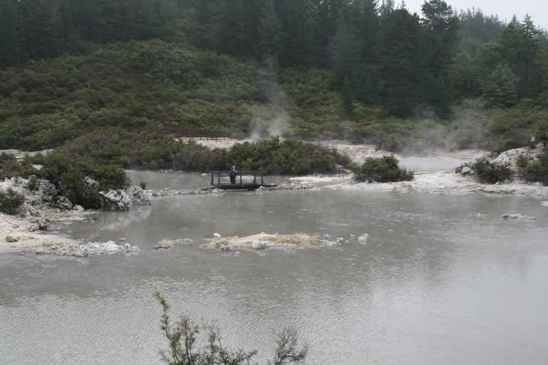 Nieuw-Zeeland 2011 - 0623